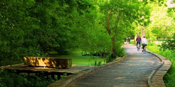 Marais Poitevin : au coeur de la Venise Verte à vélo